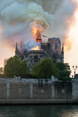 Cathédrale Notre-Dame de Paris