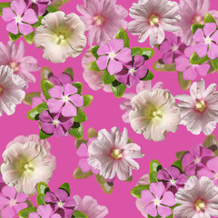 Beautiful floral background of mallow and gloxinia. Isolated