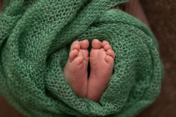 newborn child. baby legs. the legs of the newborn. legs on green background. child's feet