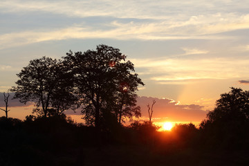 Obraz premium Sonnenuntergang Krüger Park / Sundown Kruger Park /