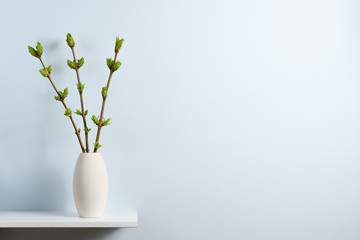 Branches with green spring buds in vase on shelf near blue wall with text space