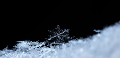 winter card, photo real snowflakes on snow