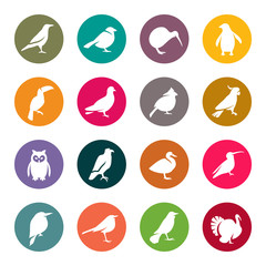 Birds icon set