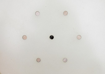 White metal plate with seven round holes in it, one thorough.