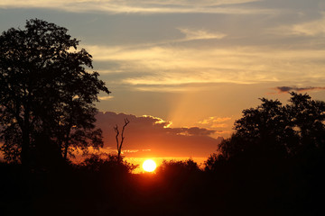 Fototapeta na wymiar Sonnenuntergang Krüger Park / Sundown Kruger Park /