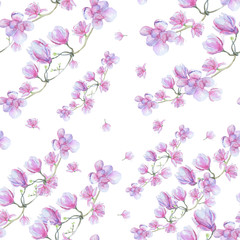 Naklejka na ściany i meble Delicate magnolia flowers on a branch. Watercolor illustration.