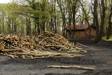 the making of charcoal, Istanbul, Turkey