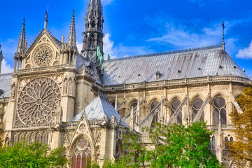 Fototapeta na wymiar Nave of Notre Dame of Paris