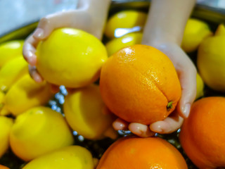orange and lemon are ready to bathe.