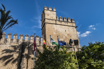Architectural fragments of Wall and tower of Alcazar of Cordoba in Spain. Alcazar de los Reyes...