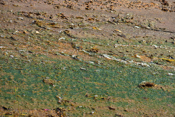 A plastered surface of a dam on which water is passing. The algae or moss on that surface create beautiful textured image.