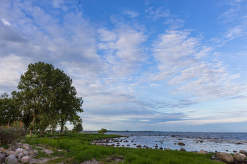 Fototapeta na wymiar Evening view of Baltic sea coast, Scania region, southern Sweden