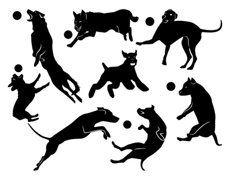 Set of cheerful jumping dogs