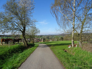 Landschaftsbild Natur mit Pferden