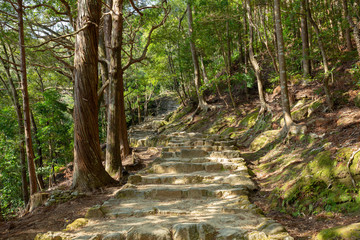 神倉神社の参道