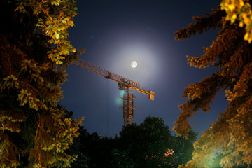 Obraz premium Crane on the background of the Moon
