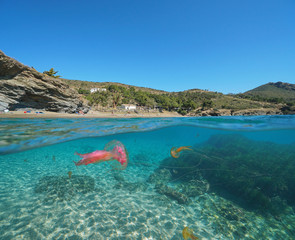 Spain Mediterranean coast with jellyfish underwater, Roses, Costa Brava, Catalonia, split view half over and under water