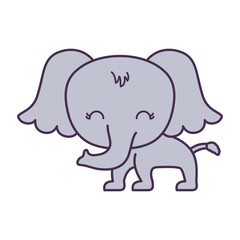 cute elephant animal isolated icon