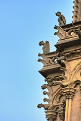 Fototapeta na wymiar gargoyle and Turret Gothic facade of the cathedral Notre-Dame de Paris, France .