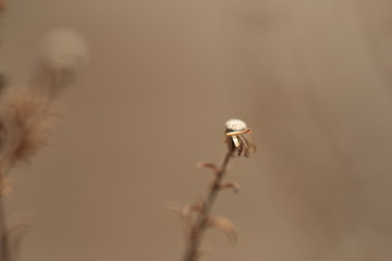 Nature at its best, new life