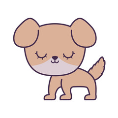 cute dog animal isolated icon