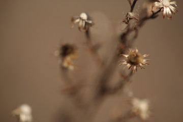 Nature at its best, new life