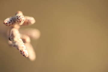 Nature at its best, new life