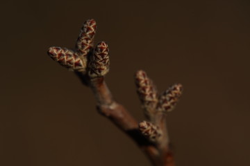 Nature at its best, new life