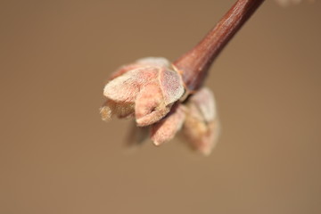 Nature at its best, new life