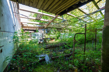 old abandoned farmhouse interior