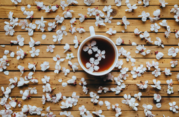 Cup of tea and spring apricot blossom on a brown wooden background. Overhead view. Rustic. Copy space.