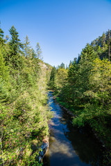 foot bridge over forest river in summer
