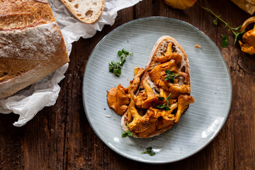 Toast with chanterelle mushrooms