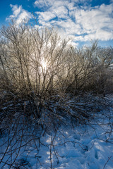 snow covered fields in winter countryside