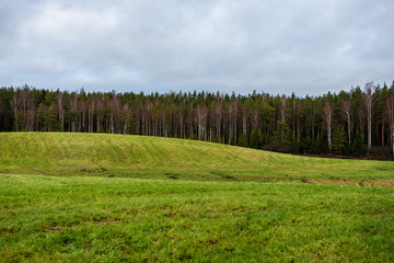 fresh green meadow fieldswith grass pattern in wet summer