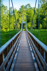 Obraz premium foot bridge over forest river in summer