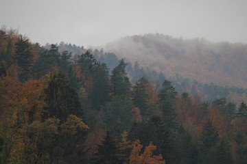 fog in the mountains