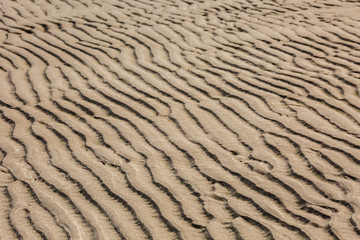 Rippled sand on the beach in the summer during low tide