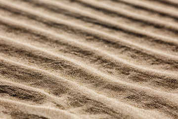 Rippled sand on the beach in the summer during low tide