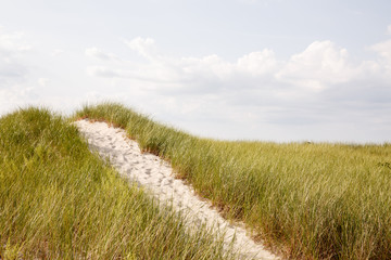Sand path to the beach. Summer vacation near the ocean. 