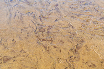 yellow sand background