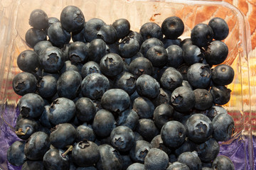 Blue berrees inside plastic box natural and organic food with high nutritional value in Mexico City