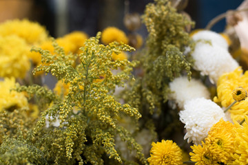 Festival de las flores Ciudad de México