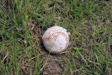 Baseball in the Field