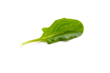 Spinach leaf isolated on white background