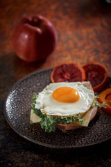 Grain bread with fried egg, tomato, cheese and bacon on ceramic plate with red orange 