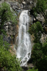 Obraz premium waterfall in forest