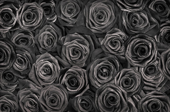  dark black roses