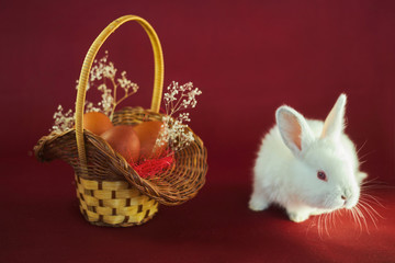 basket with easter eggs and bunny