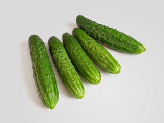 Five green cucumbers with pimples